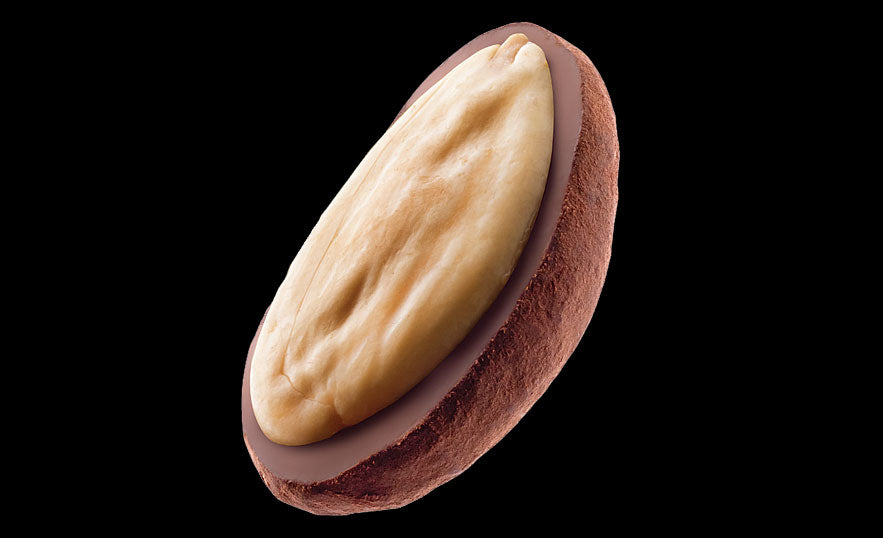 Dragee-Produkte Raffinée Mandeln mit Tonkabohnen verfeinerter Milchschokolade